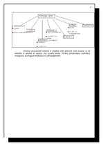 Referāts 'Tūrisms', 6.