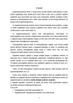 Referāts 'Magnētisko šķidrumu īpašību pētīšana', 5.