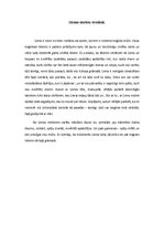 Referāts 'Lienas tēla analīze brāļu Kaudzīšu romānā "Mērnieku laiki"', 12.