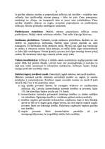 Referāts 'Inflācija Latvijā', 4.