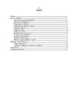 Referāts 'Inflācija Latvijā', 13.