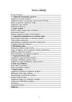 Biznesa plāns 'SIA “Infinito”', 2.