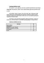 Biznesa plāns 'SIA “Infinito”', 5.