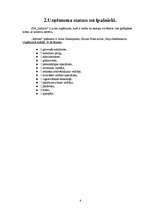 Biznesa plāns 'SIA “Infinito”', 6.