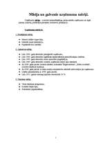 Biznesa plāns 'SIA “Infinito”', 7.