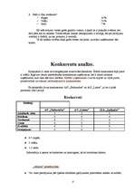 Biznesa plāns 'SIA “Infinito”', 12.