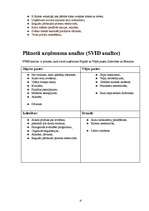 Biznesa plāns 'SIA “Infinito”', 13.