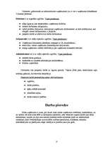 Biznesa plāns 'SIA “Infinito”', 27.