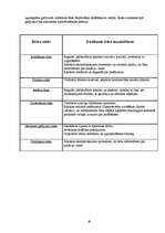 Biznesa plāns 'SIA “Infinito”', 29.