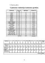 Biznesa plāns 'SIA “Infinito”', 30.