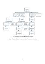 Referāts 'Viesnīcas "Enkurs" finanšu rādītāju analīze', 6.