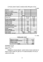 Referāts 'Viesnīcas "Enkurs" finanšu rādītāju analīze', 10.