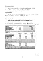 Referāts 'Viesnīcas "Enkurs" finanšu rādītāju analīze', 11.