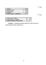 Referāts 'Viesnīcas "Enkurs" finanšu rādītāju analīze', 13.