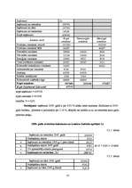 Referāts 'Viesnīcas "Enkurs" finanšu rādītāju analīze', 18.