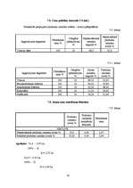 Referāts 'Viesnīcas "Enkurs" finanšu rādītāju analīze', 30.