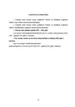 Referāts 'Viesnīcas "Enkurs" finanšu rādītāju analīze', 33.