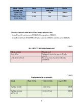 Biznesa plāns 'Biznesa plāns "Krinete"', 5.