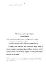 Referāts 'Konkurences politikas stiprās puses, iespējas un draudi vienotajā Eiropas Savien', 12.