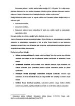 Referāts 'Konkurences politikas stiprās puses, iespējas un draudi vienotajā Eiropas Savien', 19.