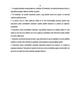 Referāts 'Konkurences politikas stiprās puses, iespējas un draudi vienotajā Eiropas Savien', 24.