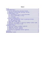 Referāts 'Uzņēmuma motivācijas sistēmas efektivitātes novērtējums', 1.