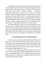 Paraugs 'Kursa darbs ainavu veidošanā', 11.