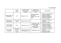 Paraugs 'Kursa darbs ainavu veidošanā', 32.