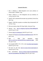 Paraugs 'Kursa darbs ainavu veidošanā', 35.