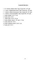 Referāts 'Mēbeles gadsimtu griežos', 22.