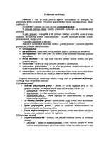 Konspekts 'Produkta vadīšana', 2.