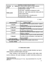 Biznesa plāns 'Sabiedrība ar ierobežotu atbildību "CinEco"', 12.