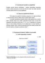 Biznesa plāns 'Sabiedrība ar ierobežotu atbildību "CinEco"', 19.