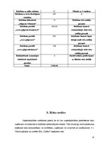 Biznesa plāns 'Sabiedrība ar ierobežotu atbildību "CinEco"', 29.