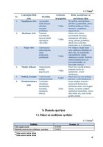 Biznesa plāns 'Sabiedrība ar ierobežotu atbildību "CinEco"', 30.