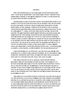 Eseja 'Edītes Bērzas raksturojums A.Bela romānā "Būris"', 1.