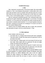 Referāts 'Dzelzs jonu sorbcija uz māliem', 5.