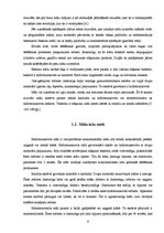 Referāts 'Dzelzs jonu sorbcija uz māliem', 6.