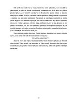 Referāts 'Dzelzs jonu sorbcija uz māliem', 13.