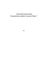 Prakses atskaite 'Profesionālās prakses pārskats uzņēmumā “Maija 1”', 1.