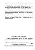 Prakses atskaite 'Profesionālās prakses pārskats uzņēmumā “Maija 1”', 13.