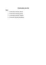 Konspekts 'Civiltiesiskā attiecība', 1.