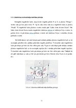 Referāts 'Elektrodzinēji', 11.