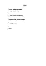 Referāts 'Eiropas Savienības pārvalde', 6.