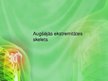 Prezentācija 'Augšējās ekstremitātes skelets', 1.