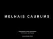 Konspekts 'Melnais caurums', 6.