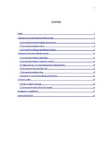 Referāts 'Starptautiskās komercdarbības diplomātijas konceptuāls pārskats', 2.