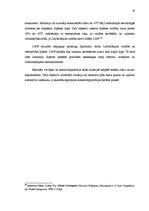 Referāts 'Starptautiskās komercdarbības diplomātijas konceptuāls pārskats', 26.