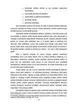 Diplomdarbs 'Sabiedriskās kārtības sporta pasākumos nodrošināšanas organizatoriski tiesiskās ', 43.