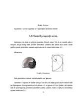 Referāts 'Fibonači skaitļi', 13.